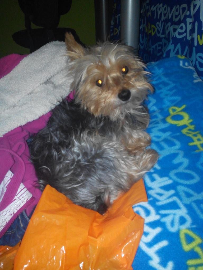 bepesel's tweet photo. Mirar quien ha subido a felicitarme :) http://t.co/U5gZkqGc1v