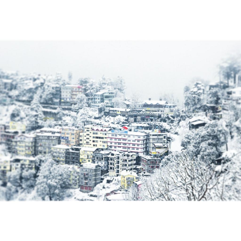 juniorlakhera's tweet photo. Huuuu...  First Snow Fall In Shimla 
#enjoy #snow #snowfall #awesome #winter #loveit #selfie http://t.co/CpKLEQ8YYG