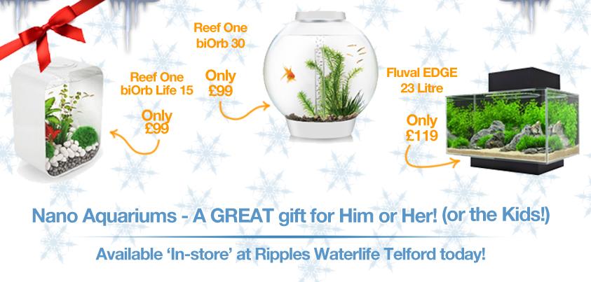RipplesWater's tweet photo. Some great offers on Aquariums this Christmas!! Perfect for all of those Fish-Ticklers out there!! #FishyBusiness http://t.co/bt7u7faYJ5