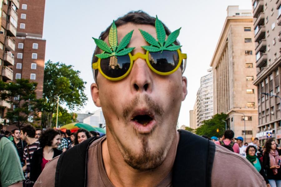 GrowLandiaOFI's tweet photo. Razones que han convertido al 2014 en el año de la #marihuana - http://t.co/xFqadjb3Y6 http://t.co/lJSvqs4WME