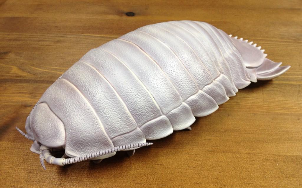 ネイチャーテクニカラー いきもん公式 on X: 