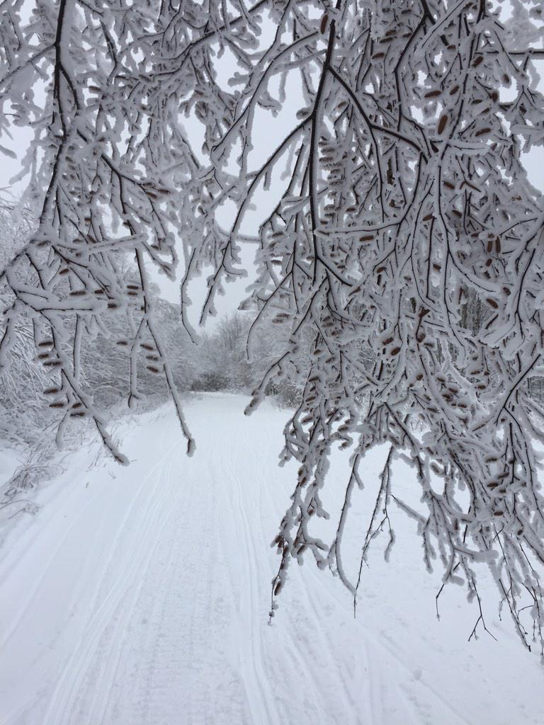 sledconditions's tweet photo. http://t.co/lKwPcZ0QU9