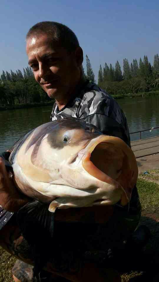 thefishinglife's tweet photo. #monsterlake http://t.co/tSOrixlPs7