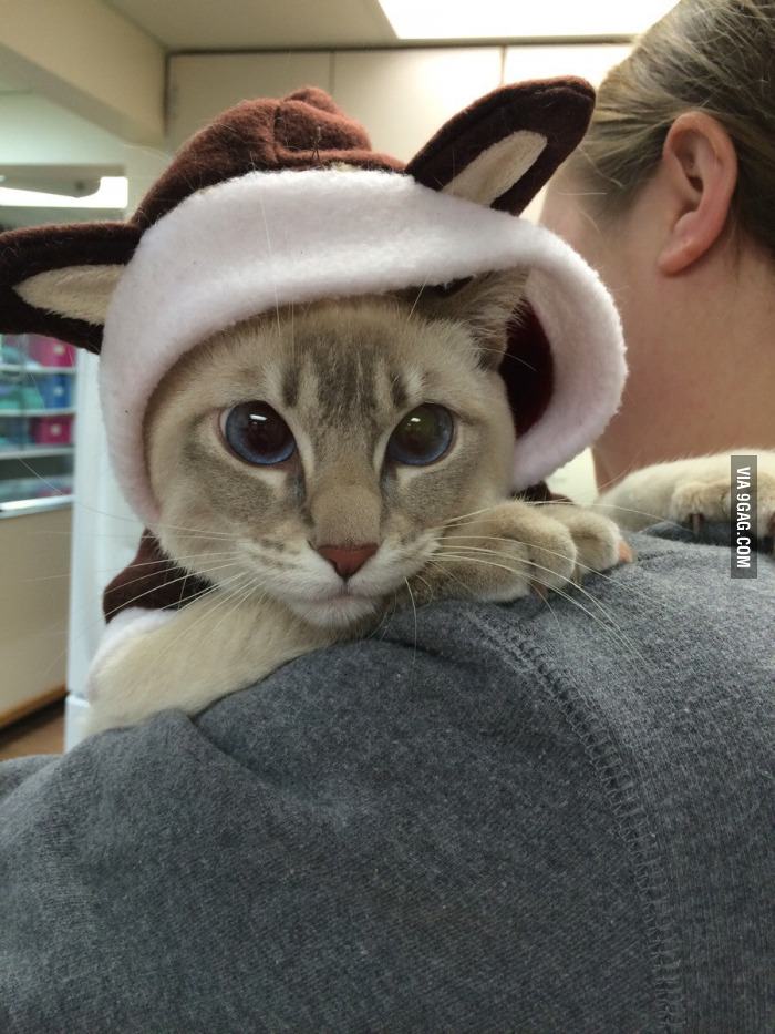 Rudolph the Red-Nosed Reindeer 😍
9gag.com/gag/aMbOdr1?re…