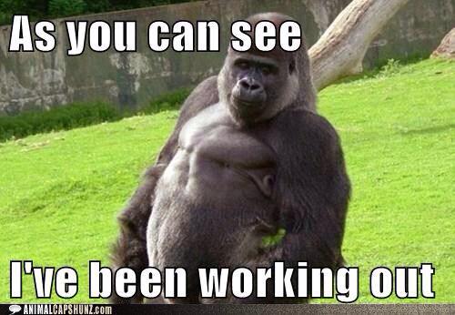 Taking The P*** tweet media