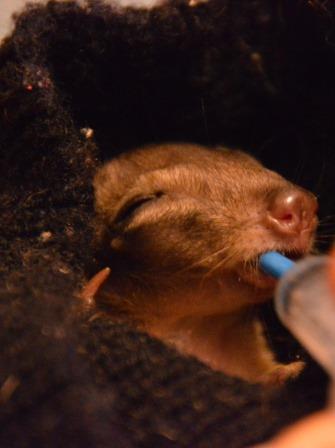 View image on Twitter