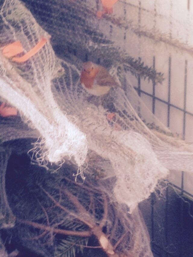 Security keeping watch on our trees!