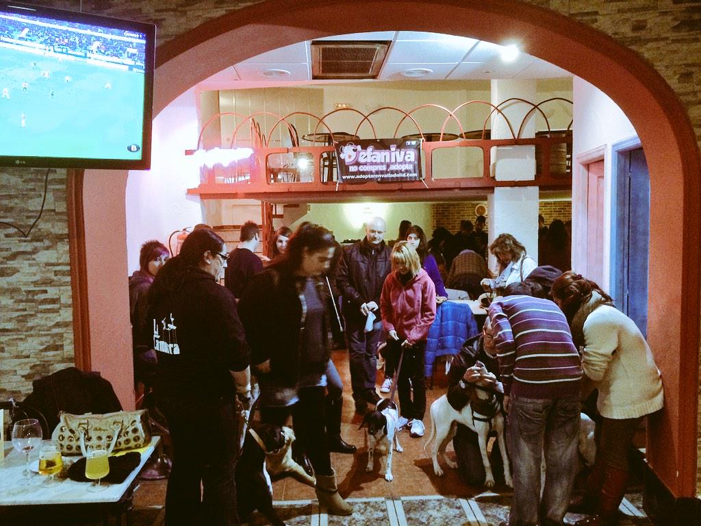 IsmaBWhite's tweet photo. No hay derby de rugby... Pues cambio de planes! Quedada canina de @Defaniva2013 en #CircularBar&amp;Shop de @asensiode 😊 http://t.co/saxCQMi5i7