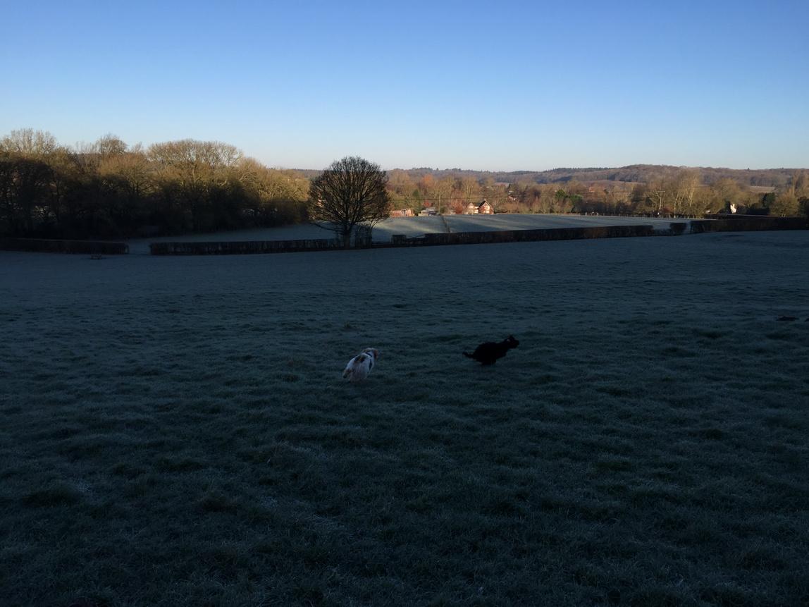 James27Murray's tweet photo. #freezing http://t.co/C4DEUqaeOk