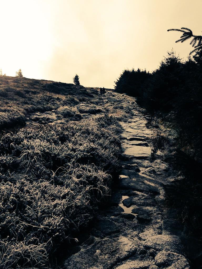 fanningill's tweet photo. A touch of frost.. Welcome winter ❄️❄️ http://t.co/YNGECQZe1A