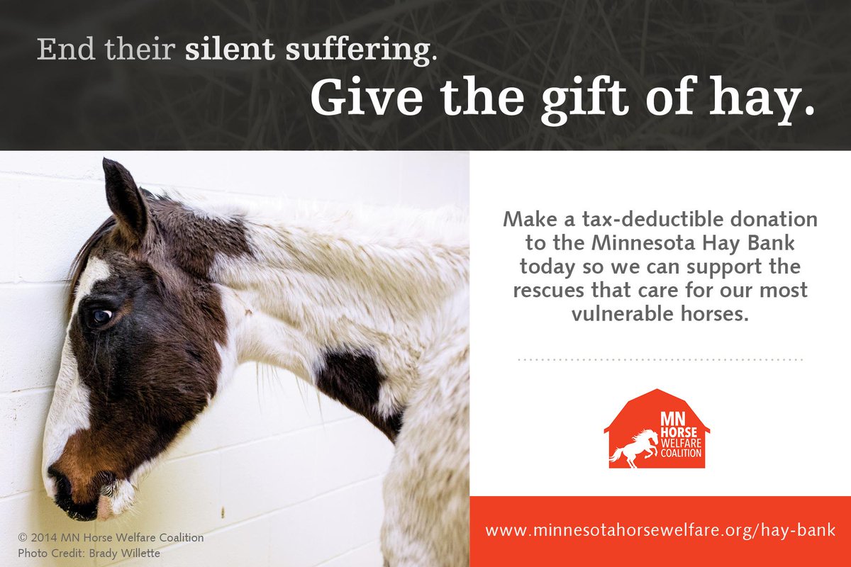 MN Hay Bank year-end fundraiser: proceeds raised in Dec to buy hay for 501(c)(3) rescues. minnesotahaybank.org