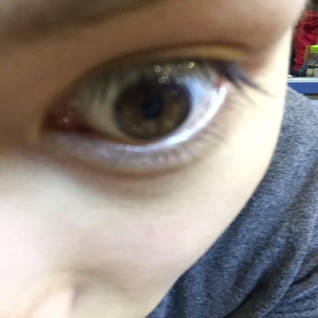 埋め込み画像への固定リンク