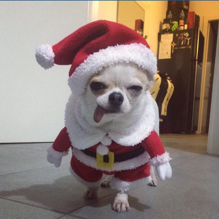 Fedez's tweet image. Gue se ne sbatte del Natale