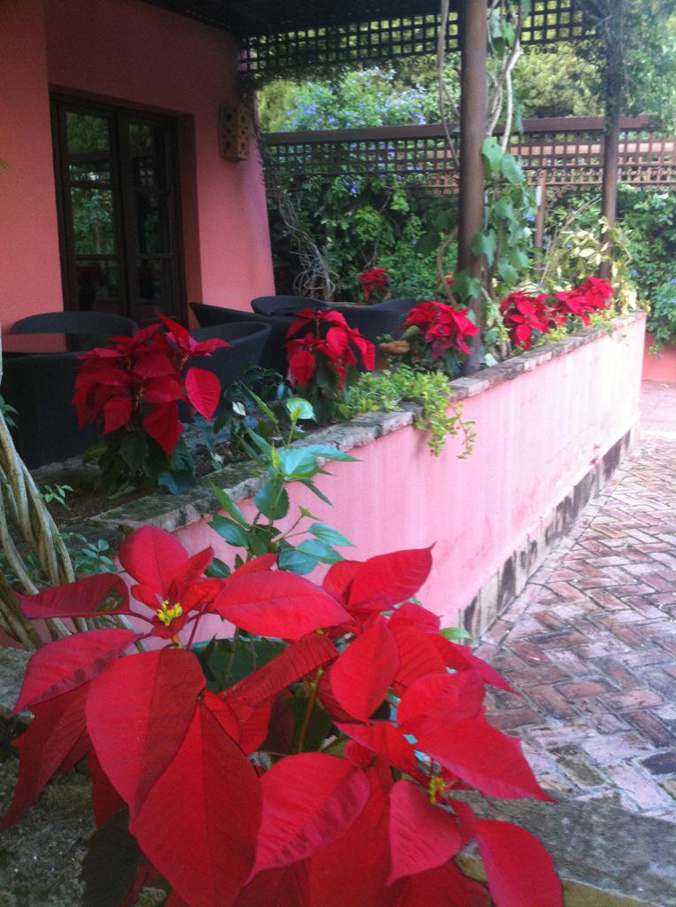 Almorzando cn <a href="/ROBOGO28/">ROCIO BONILLA GÓMEZ</a> en <a href="/sanmarcoaljaraf/">San Marco Aljarafe</a>.