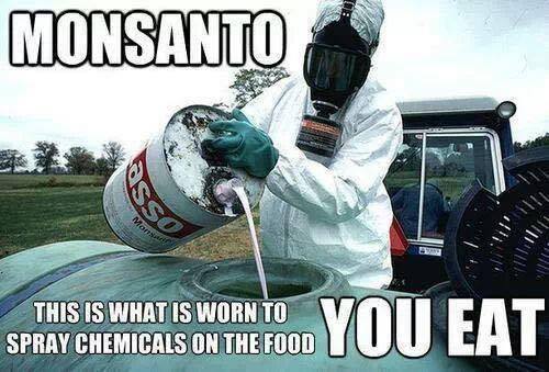 MassDeception1's tweet image. 