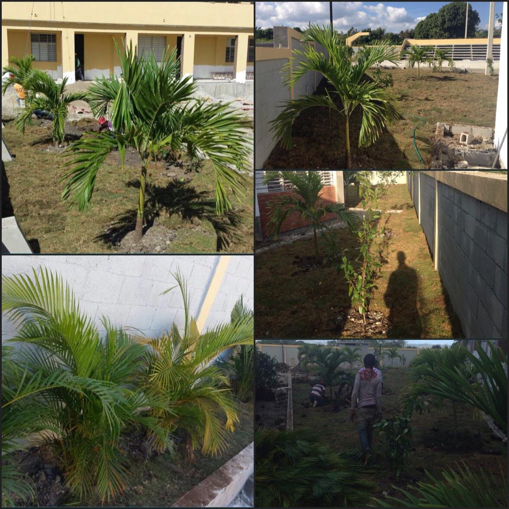 Constructora W & P (@Constructorawp) / Posts / X