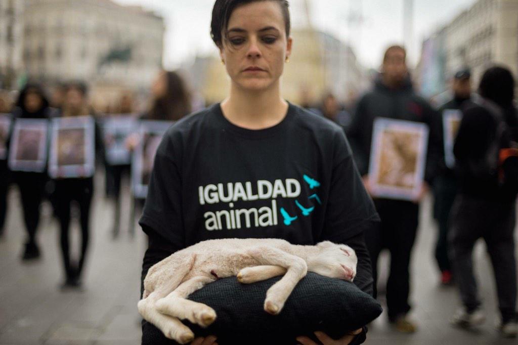 IgualdadAnimal's tweet photo. Cada vez más personas rechazan la violencia hacia los animales. Seguimos, por un mundo mejor. #DíaDerechosAnimales http://t.co/lQoXWBXlcG