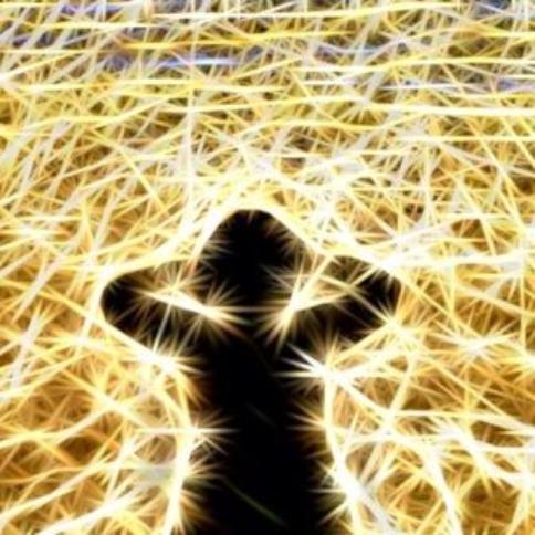 Remember that you
are a light to this world. Shine
brightly and with love. 

~ #haiku