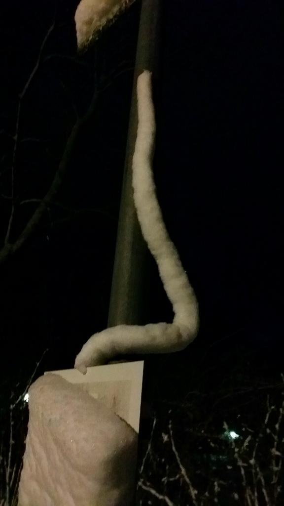 AvaAho's tweet image. Tässä varsinainen taidenäytös! #tankotanssi #lumi 😄