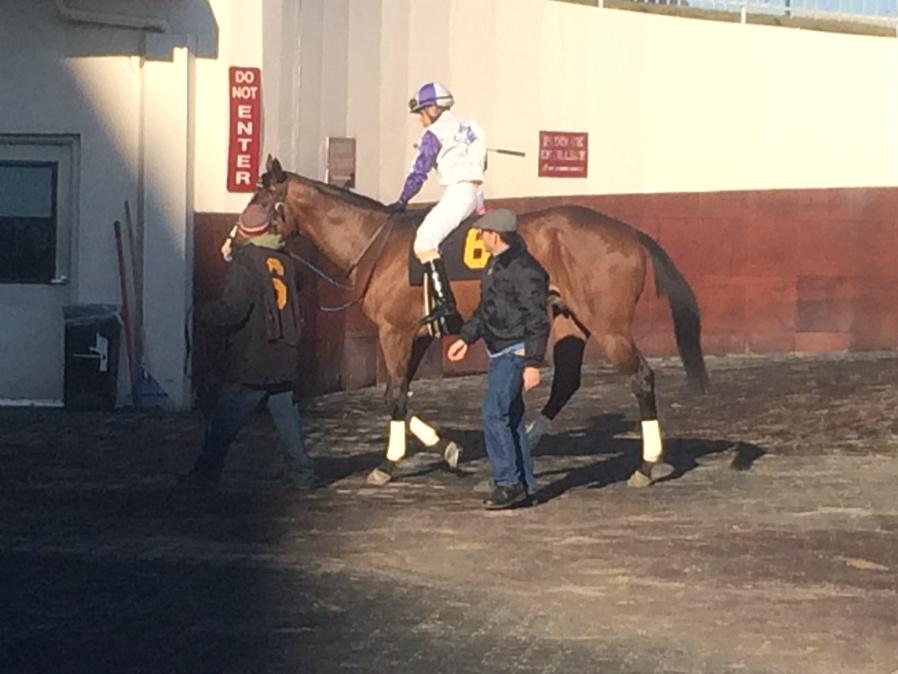 10zyk's tweet image. Chasing Bubbles right before he broke his maiden at Aqueduct yesterday