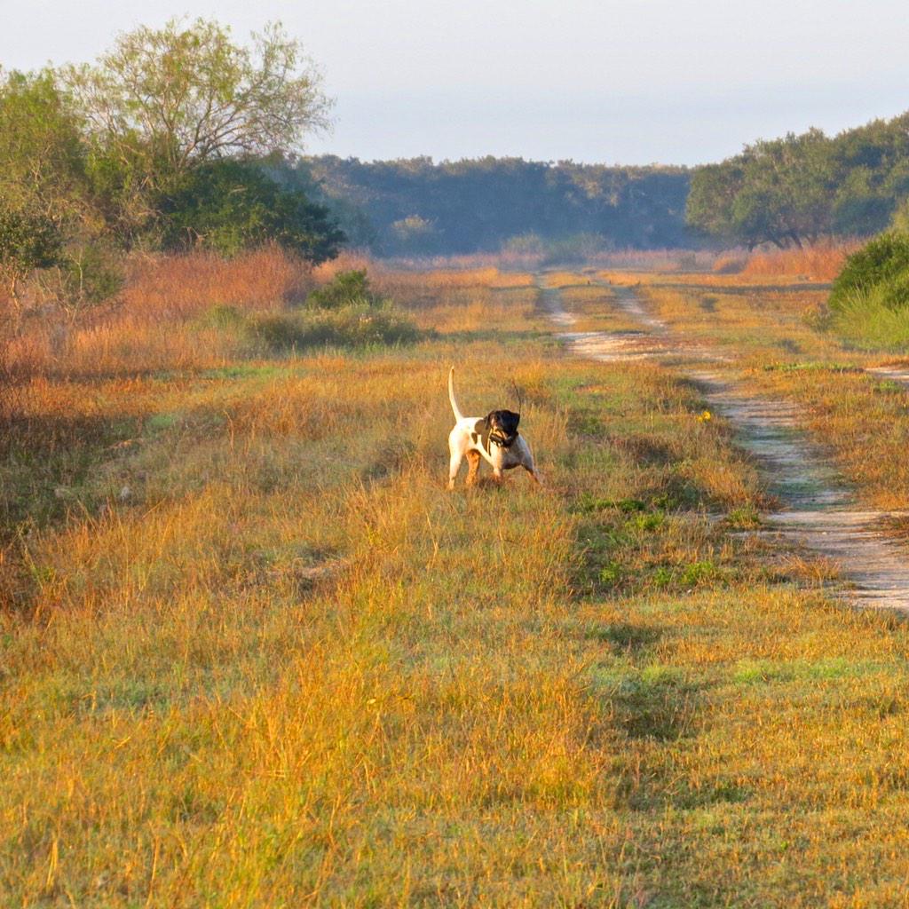 Mitch Hurt (MitchHurt) Twitter