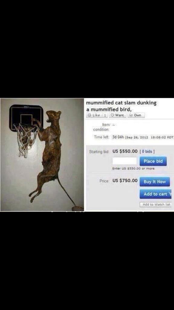 yourpalwill's tweet image. #1 on my Christmas list