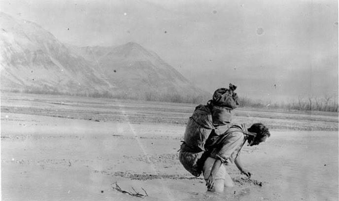 2/2 and he found a breathtaking place full of steam and mud after the eruption of #Novarupta volcano
Photo:<a href="/KatmaiNPS/">Katmai National Park</a>