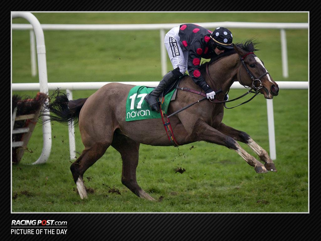 RacingPost tweet picture