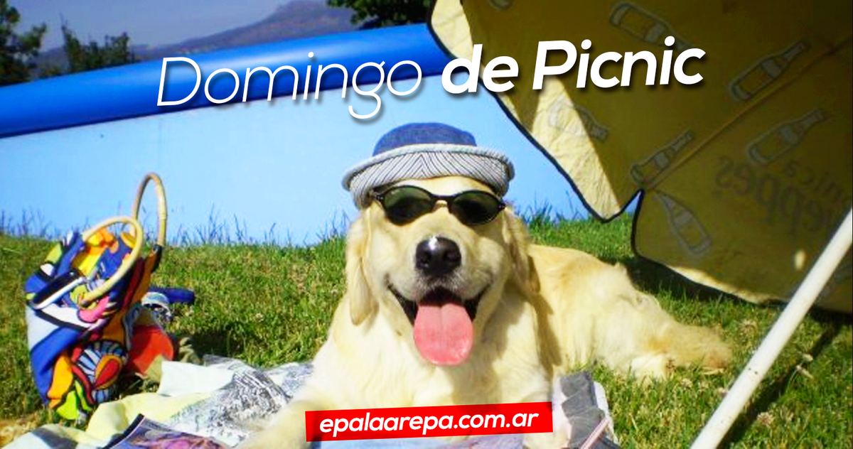 Domingo a full y con arepas! #BuenosAires #mitierra #arepas #domingo