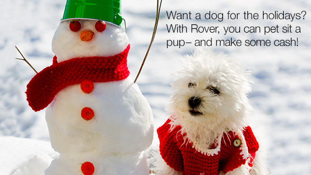 Need a dog watcher? Desperate for holiday puppy love? <a href="/RoverDotCom/">Rover.com</a> has you covered. cnnmon.ie/1vOJ8bx