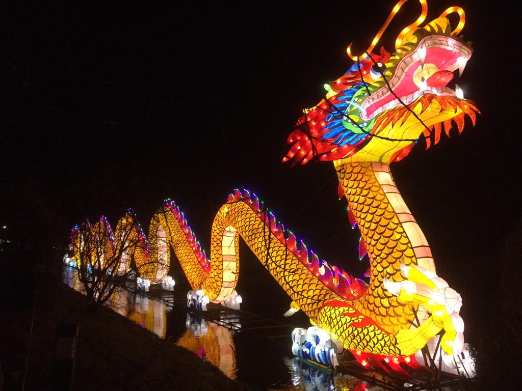 duncanlew's tweet photo. Prachtige draak bij het lichtjesfestival in Utrecht #ChinaLight030 http://t.co/0Hv2o9cXFq