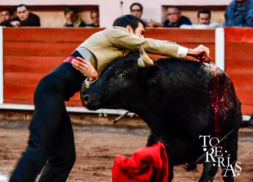 InfoArturoMa's tweet photo. @ElCejasArturoMa ayer en #festivaltaurino San Marcos Ags. foto: Mario Rodríguez @ttorerias http://t.co/1WdqSnoZrN