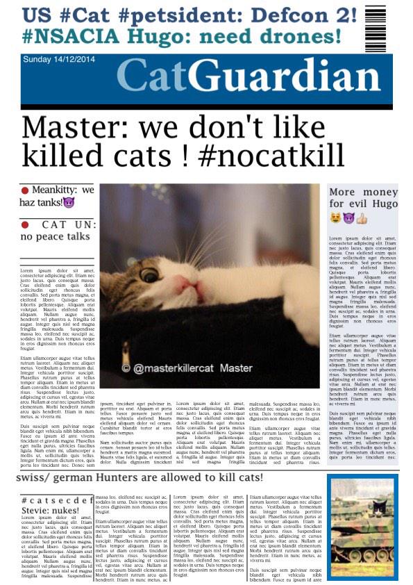 hugo4de's tweet photo. #CatGuardian #2 #nocatkill 
@masterkillercat @LidiaPhilema @StevieEvilCat @StovepipeTheCat @Meankitty21 @ThorSelfies http://t.co/aXnFAuPqQF
