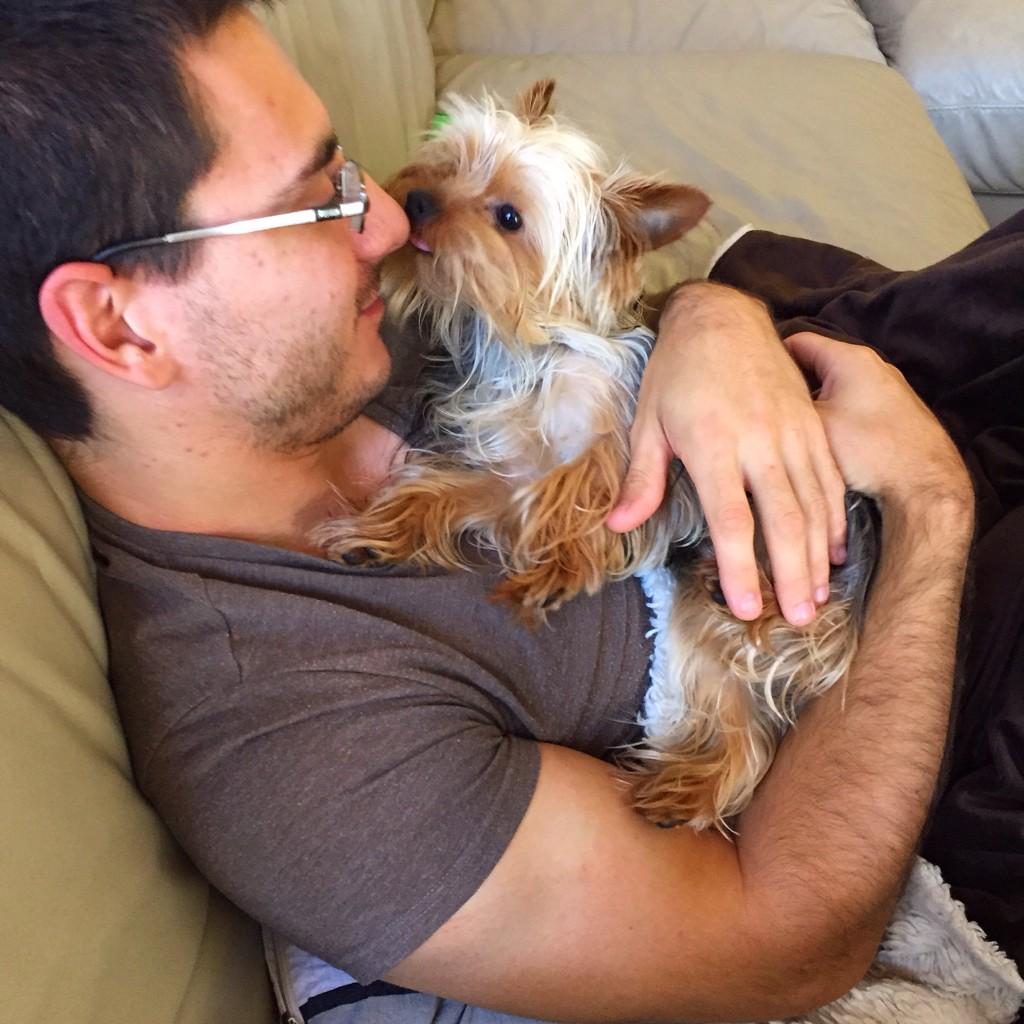 FranklinTails's tweet photo. Keeping dad company since he's not feeling well. Kisses make everything better! #yorkielove #icanteven http://t.co/a3xeUXKNpt