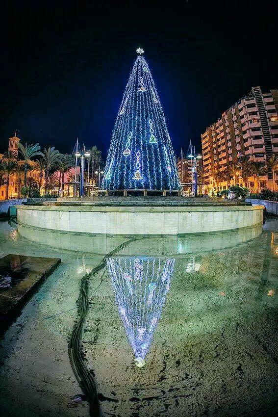 AlmeriaPostureo's tweet photo. ¡La Navidad en Almería tiene algo que enamora Sæcios! http://t.co/YciOSxg4Ol