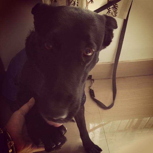 Embedded image permalink