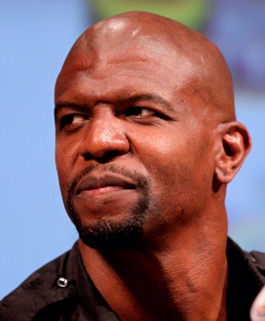 Aden on Twitter: "That moment you realize Frederick Douglass looks like Terry  Crews with hair #TerryCrews #oldspicewillblowyourmind  http://t.co/hSV9bKN2qj" / Twitter