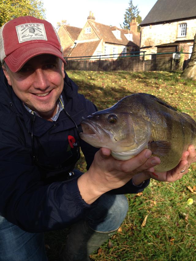 fishipedia's tweet photo. One for #perch fans. Monstrous stripey pictured below. Pics and report here: http://t.co/2Rt27rOkkI http://t.co/xm4yA1UO6X