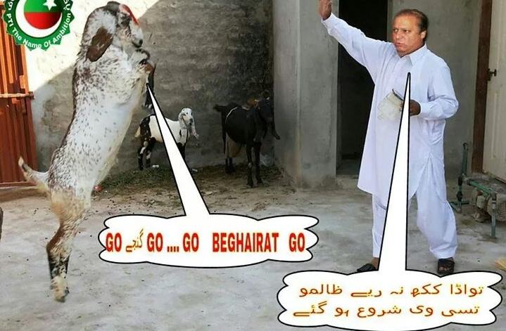 Adv_Fani's tweet photo. @SeharSaleem007
@HadiqaBaloch
#PunjabHatesNawaz
#PunjabHatesNawaz
#PunjabHatesNawaz
#PunjabHatesNawaz
#evenAnimals http://t.co/4CHzBKeDlR