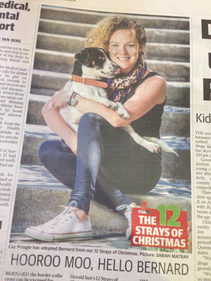 CazPringle's tweet photo. We adopted Bernard from @LostDogsHome on Sat, he is famous now in @theheraldsun today! #newhome http://t.co/H5ypOxgOTC