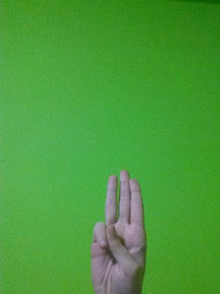 Carolina Sobe Fans™ tweet media