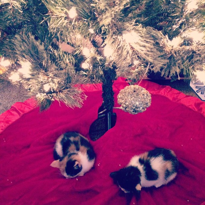 Teeheehee :) http://t.co/V5f7GH3wWe