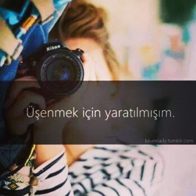 evinimm tweet picture