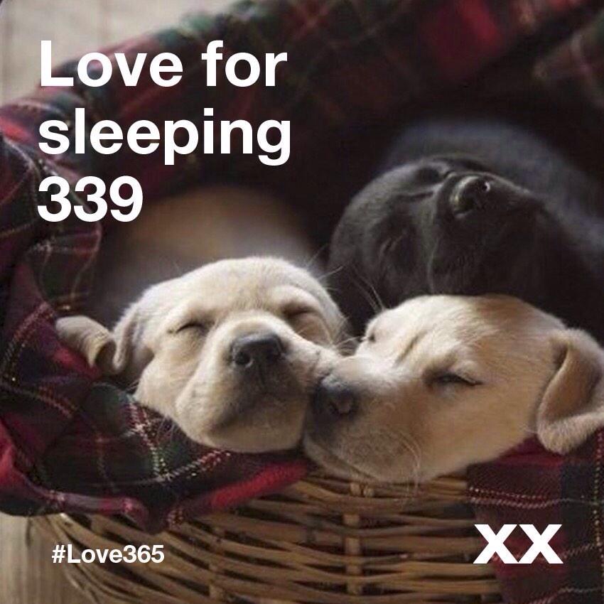 MexxUkraine's tweet photo. Love for sleeping #Love365 #MexxUkraine #Mexx #Ukraine #xx http://t.co/Wu1H9Mrbn6