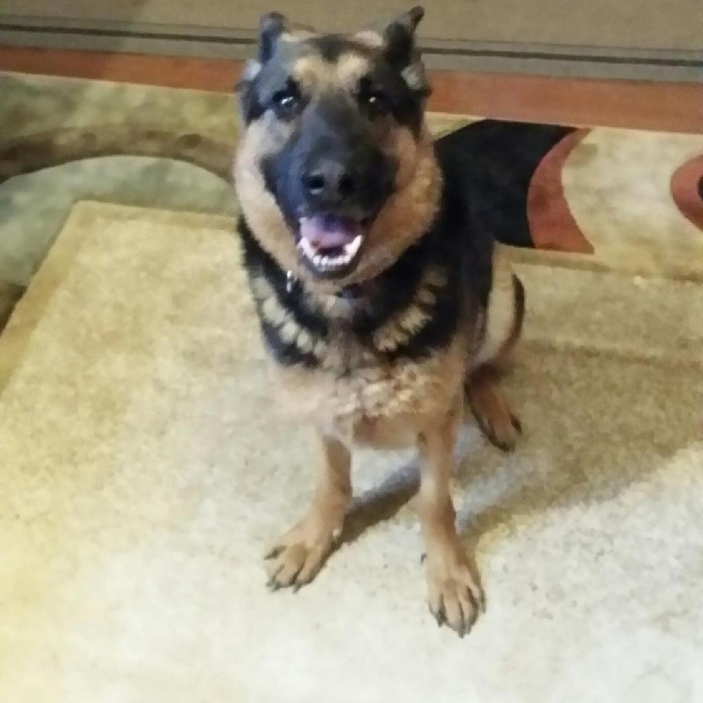 MzContractor's tweet image. Thor