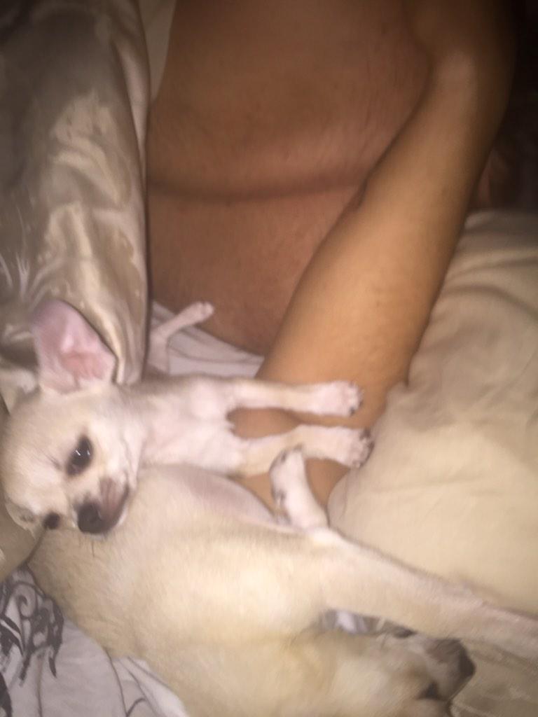 Hazza_b's tweet photo. My arm is a dog pillow #thisishowwedo http://t.co/9nCqAVbK5E