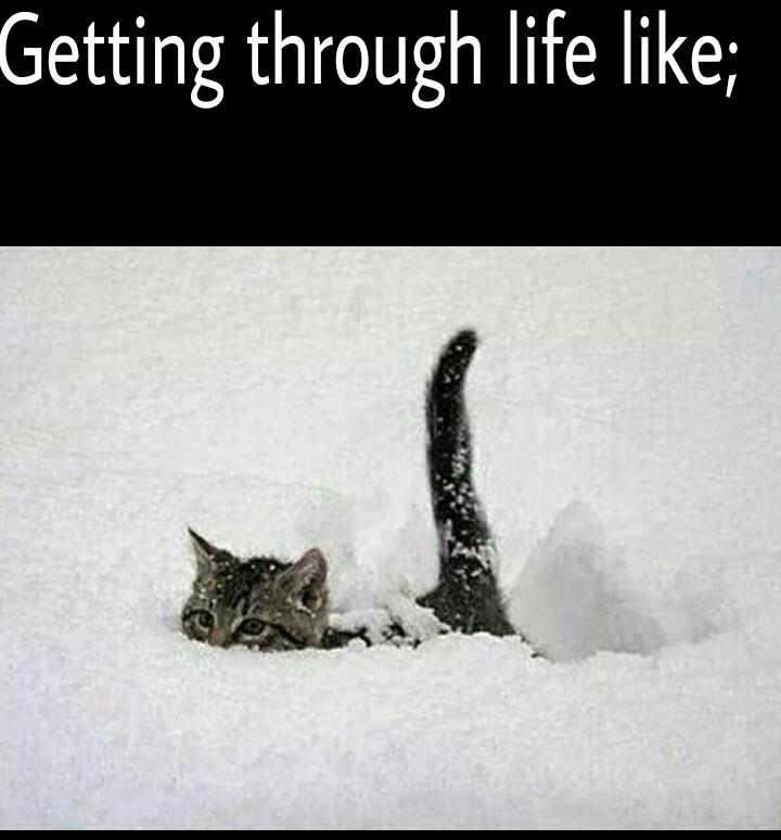 ryanyoder1997's tweet image. 