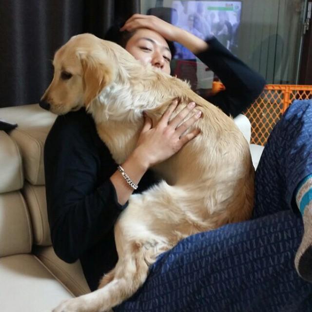 埋め込み画像への固定リンク