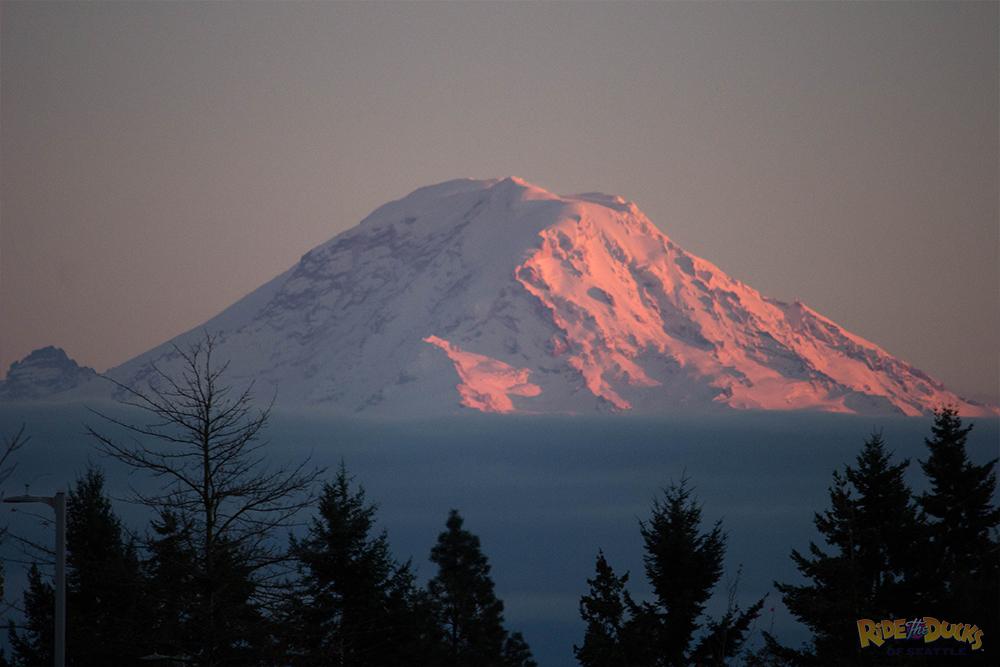 The one and only <a href="/mtrainierwa/">Mt. Rainier</a> looking stunning as always! #MtRainier