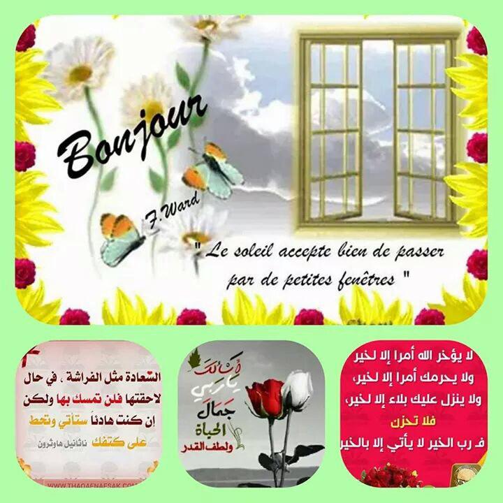 MohaamedWs tweet picture